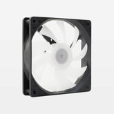 LUMIA-Regular Blade